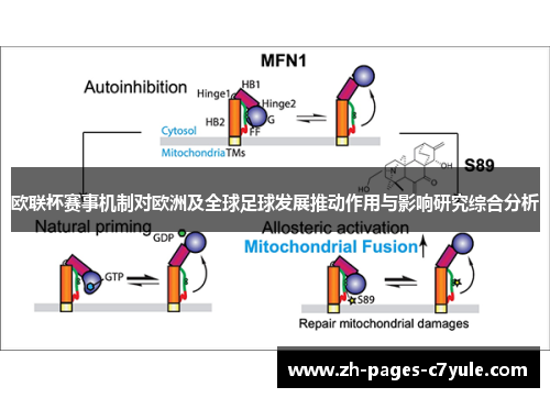 欧联杯赛事机制对欧洲及全球足球发展推动作用与影响研究综合分析